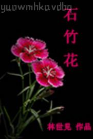 Ⱥ����̫��